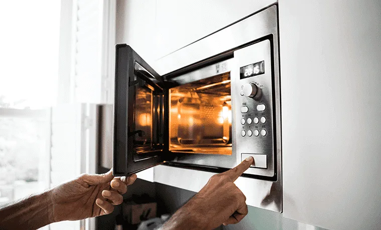 Microwave Repair Service